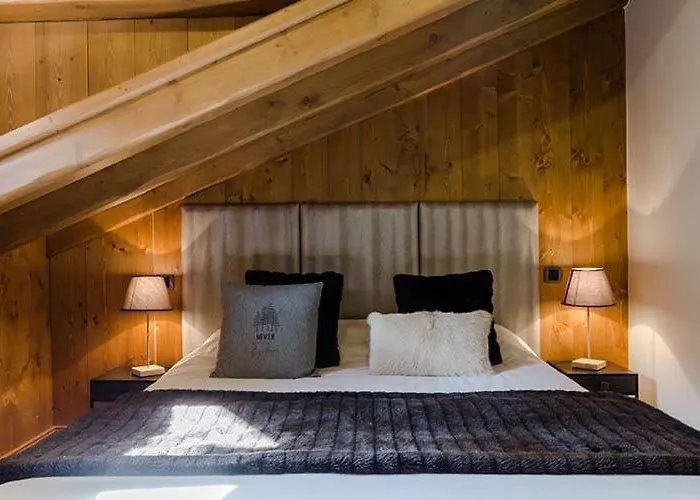 Lejlighed 6 Pers 3 Etoiles Centre Proximite Remontees Mecanique Le Praz - Robles Courchevel